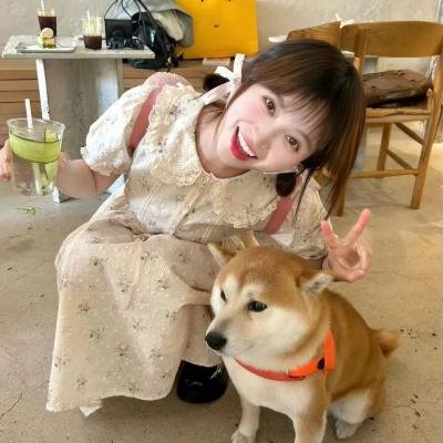 石纪元第三季